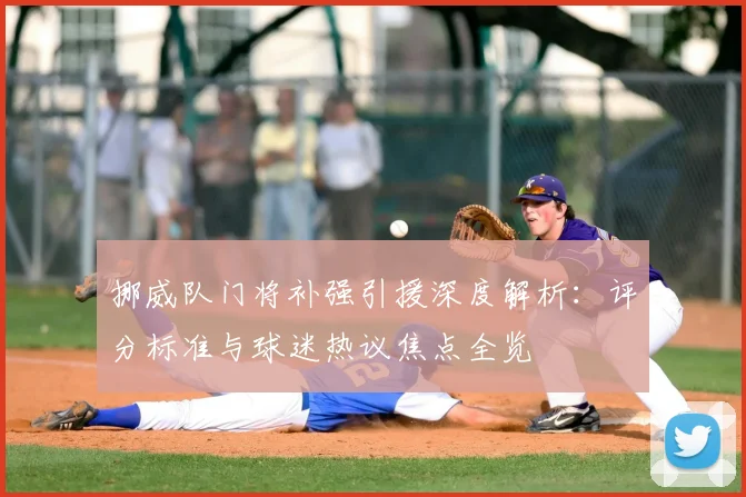 挪威队门将补强引援深度解析：评分标准与球迷热议焦点全览